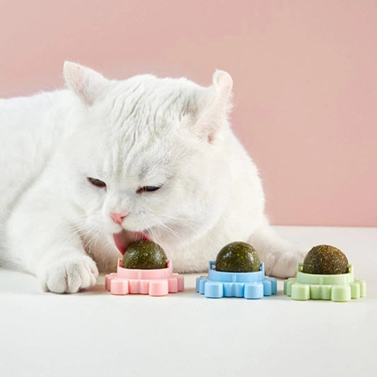 🐱Katzenminzebälle (2 kaufen, 1 gratis)🐱