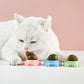 🐱Katzenminzebälle (2 kaufen, 1 gratis)🐱