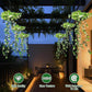 🌿💡 Solar Hängepflanze mit LED – 🌙💚 automatisch leuchtender Efeu, wetterfest, ohne Gießen & Strom, für Terrasse & Balkon