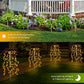 💡 KAUFE 3, ERHALTE 1 GRATIS! ☀️ Solarbeleuchtung für Den Außenbereich – Wunderschöne Garten- & Wegambiance, Automatisches Ein/Aus & Wetterfest 🏡