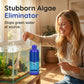 Fast-Acting Fish Tank Algae Remover