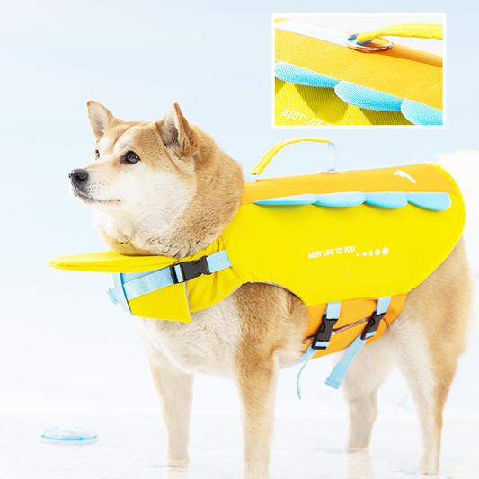 Schwimmweste für Hunde mit hohem Auftrieb